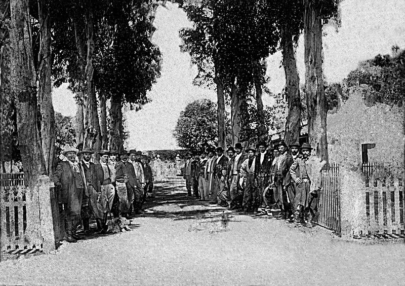 ‘Establecimiento Sol Argentino’