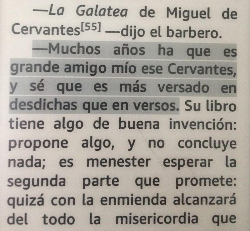 Cervantes nos muestra el cruel juicio de un cura y un barbero condenando a los libros a muerte, destierro y cadena perpetua, además de una divertida autocrítica a su Galatea: “Muchos años ha que es grande amigo mío ese Cervantes, y sé que es más versado en desdichas que en versos”