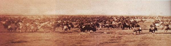 La conquista del desierto