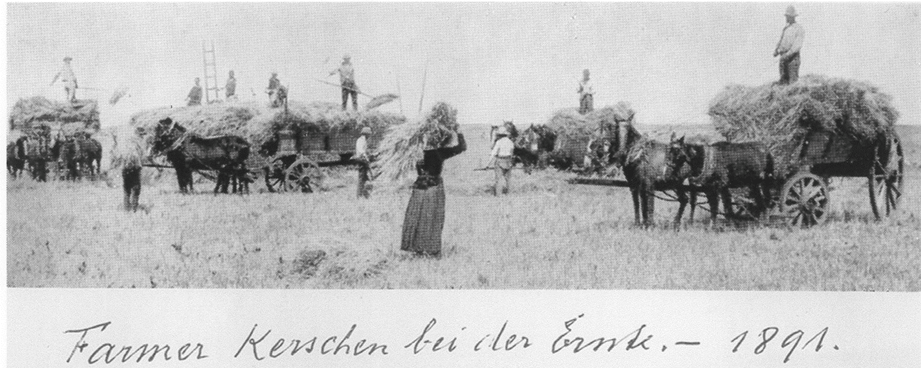 Luxemburgueses trabajando en San Antonio de Iraola, 1891. Fotografía de Francisco “Paco” Ayerza. La obra consultada traduce la inscripción como “Los agricultores aprecian la cosecha”. Reproducida de Tan sólo hallé la tapera, p. 182, ilustración 44.
