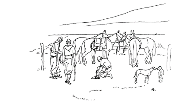 El gaucho Martín Fierro (1872) Obra capital de la literatura gauchesca