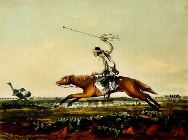 Emeric Essex Vidal, “Boleando avestruces”, ilustración de 1820
