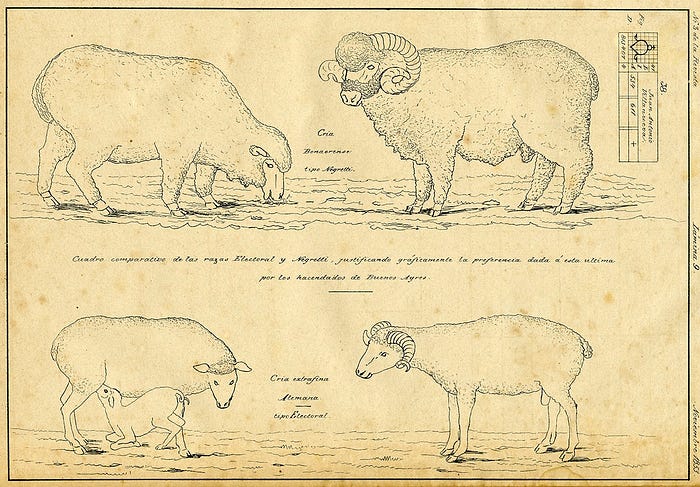 Tipos de ovejas de la campaña bonaerense publicados en 1853
